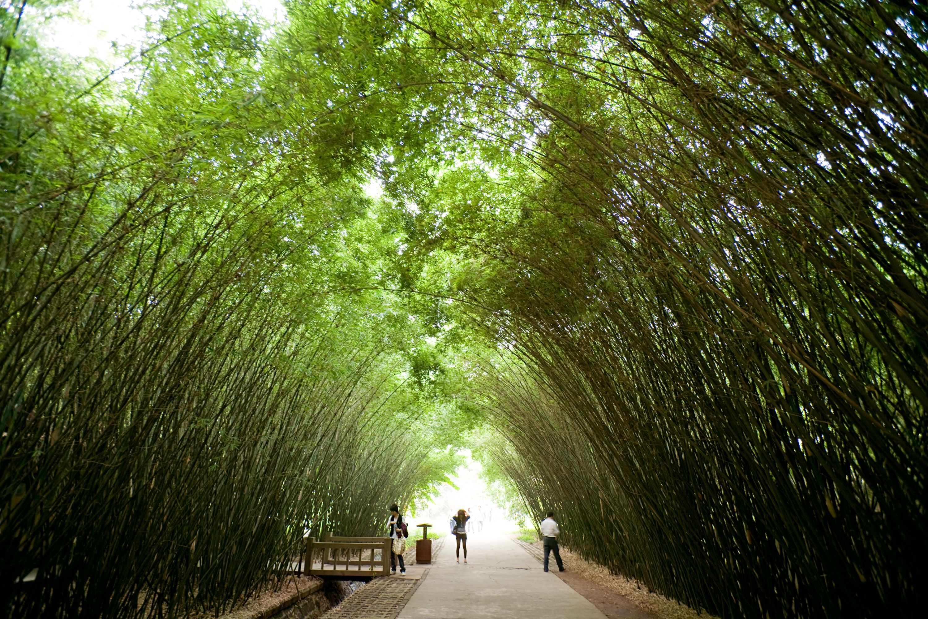 Destination Chengdu - China