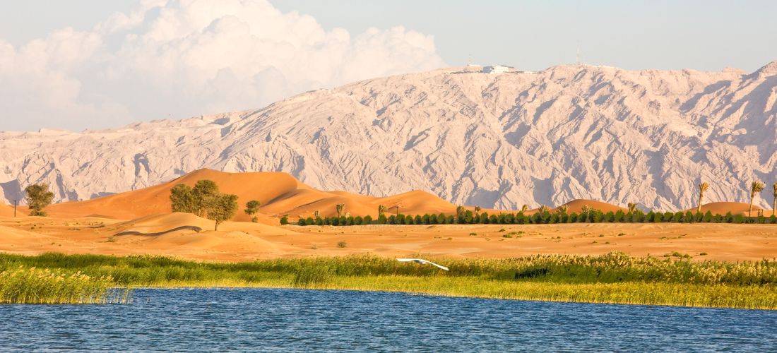 Destination Al Ain - United Arab Emirates