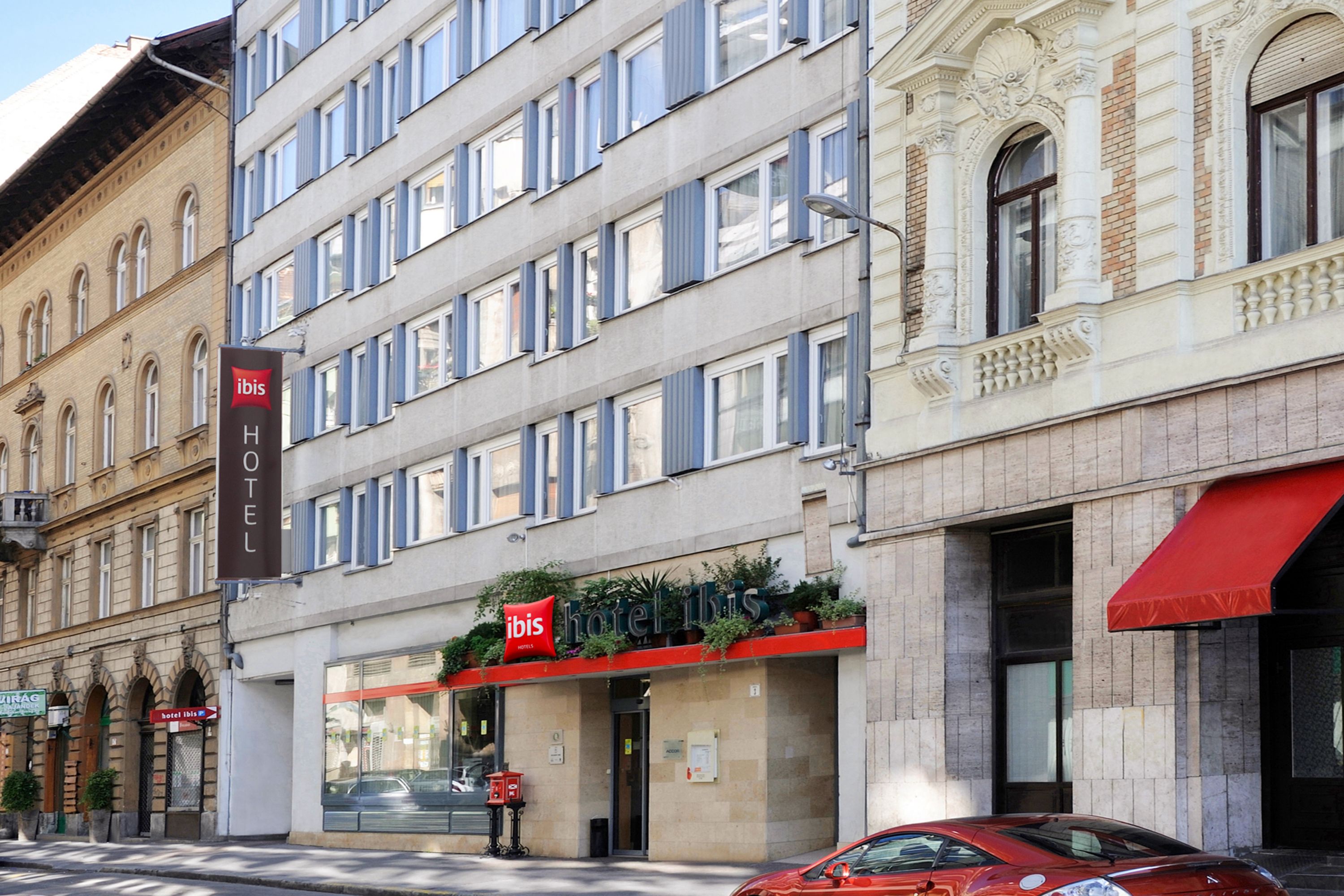 professional photographer