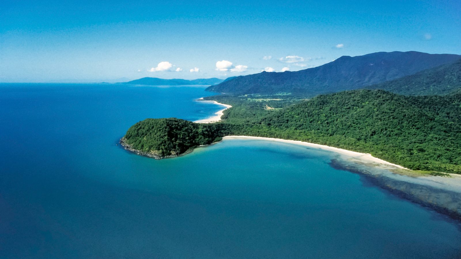 daintree rainforest, things to do in cairns
