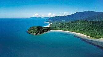 daintree rainforest, things to do in cairns