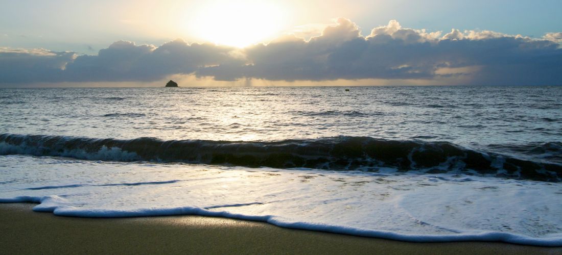 Destination Palm Cove - Australia