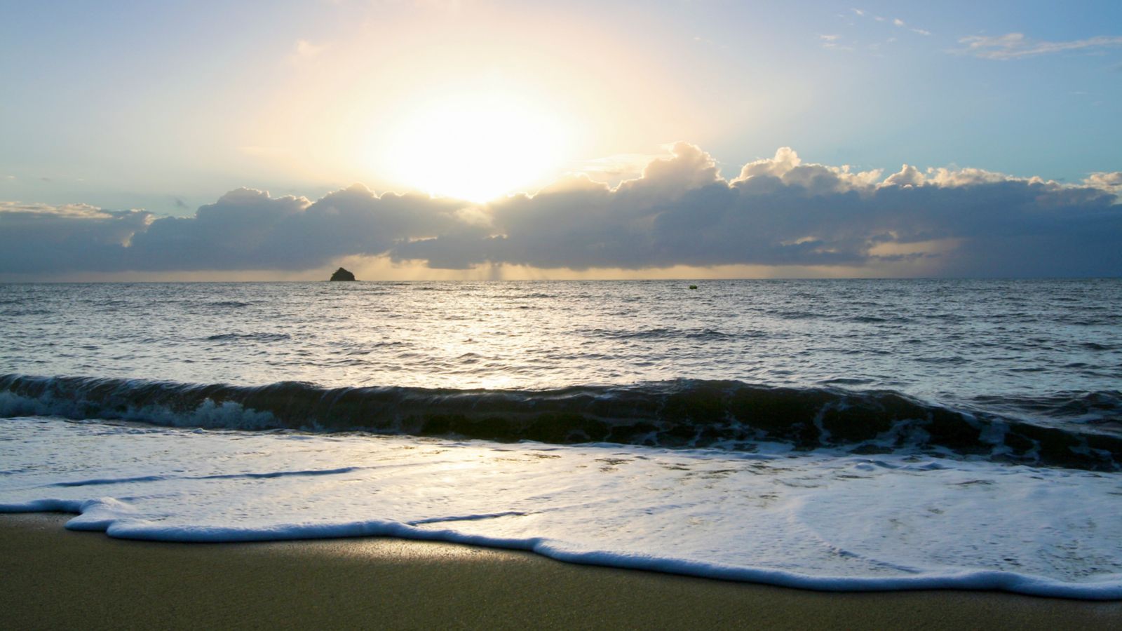 Destination Palm Cove - Australia