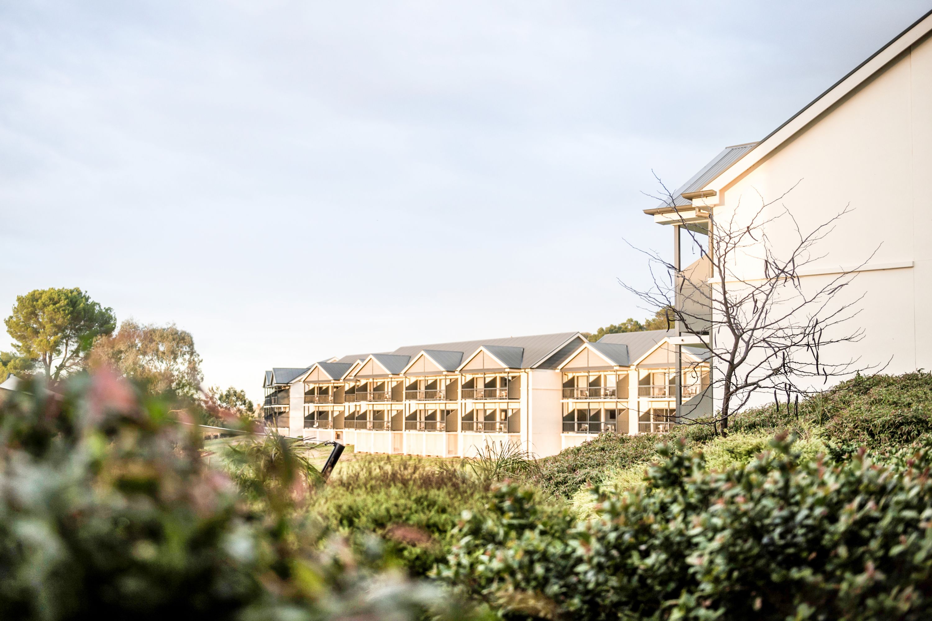 Novotel Barossa Valley Resort - Australia