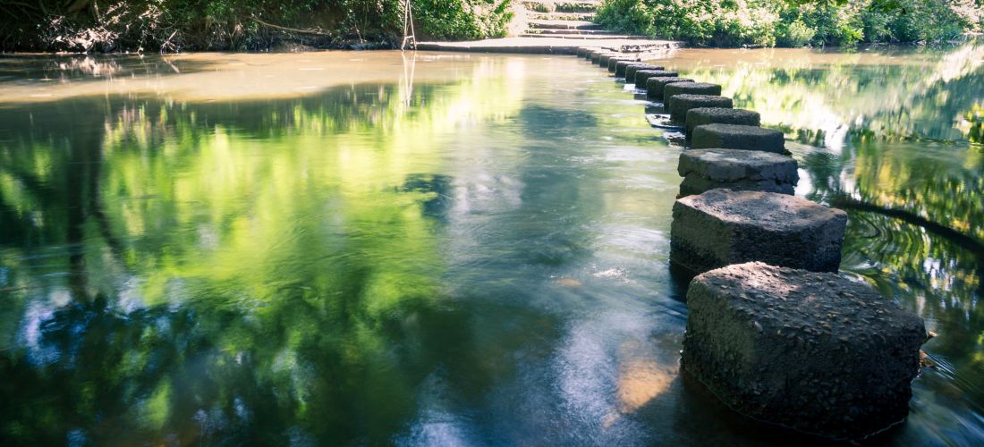 Destination Dorking - United Kingdom