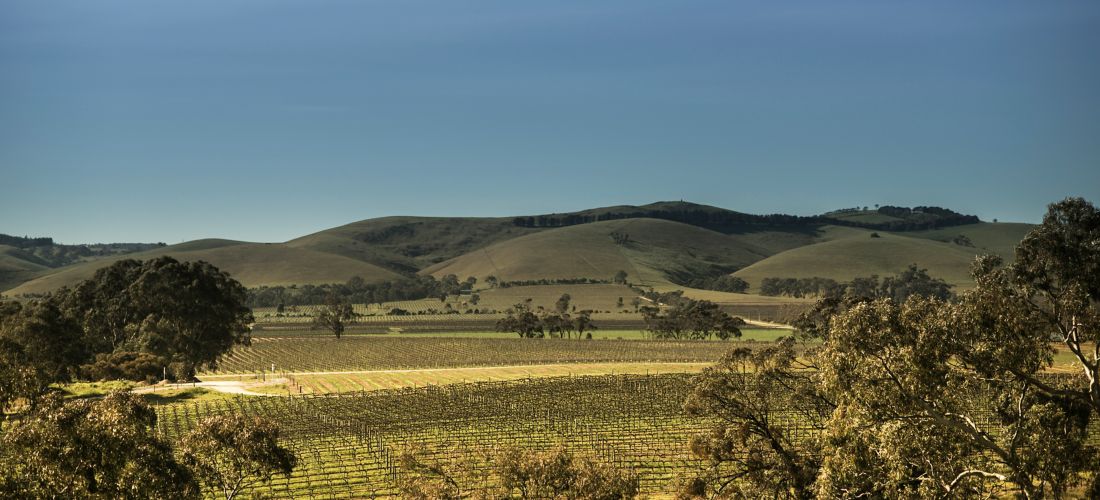 Destination Adelaide - Australia