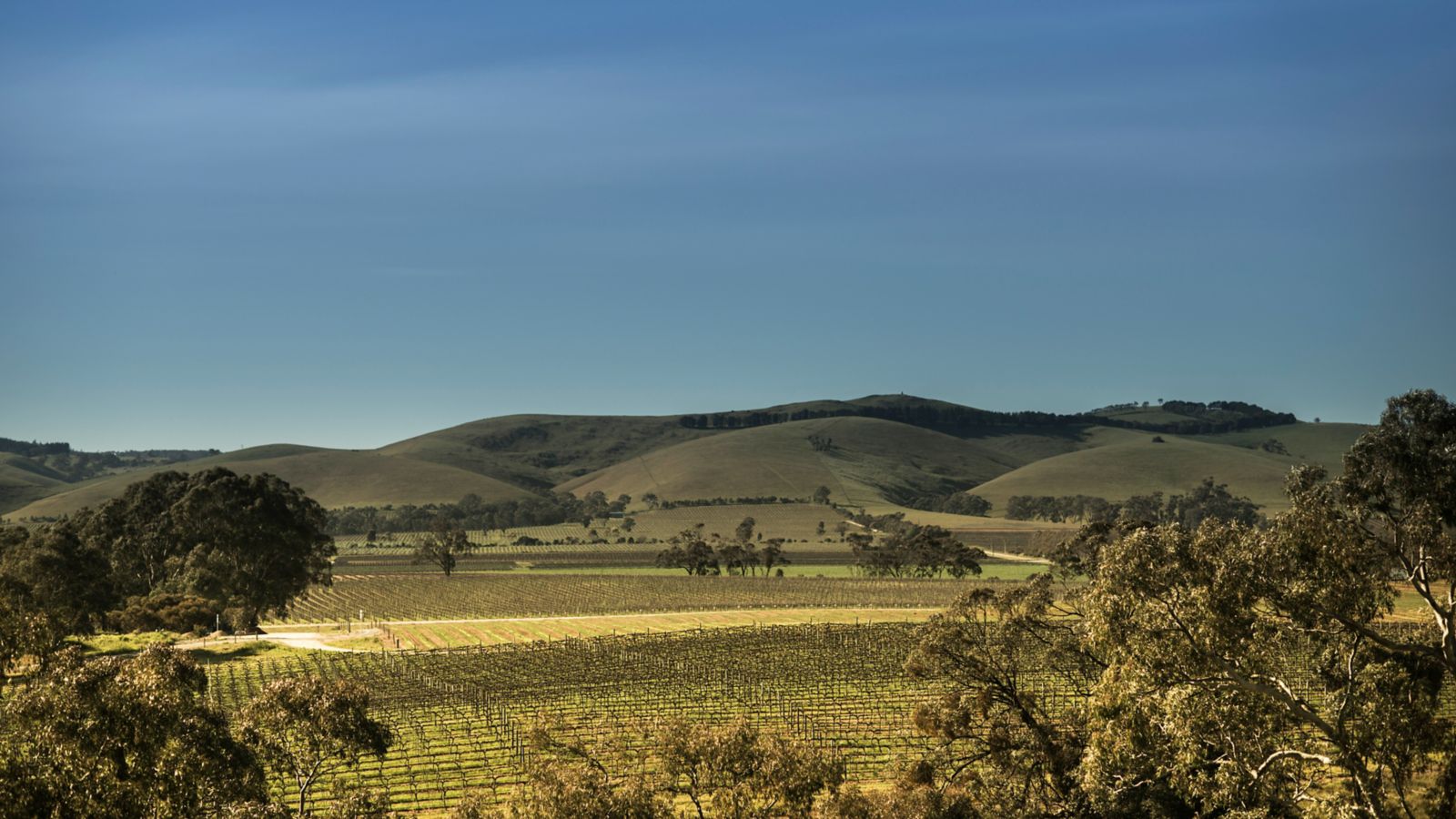 The Barossa Valley is under an hour from central Adelaide