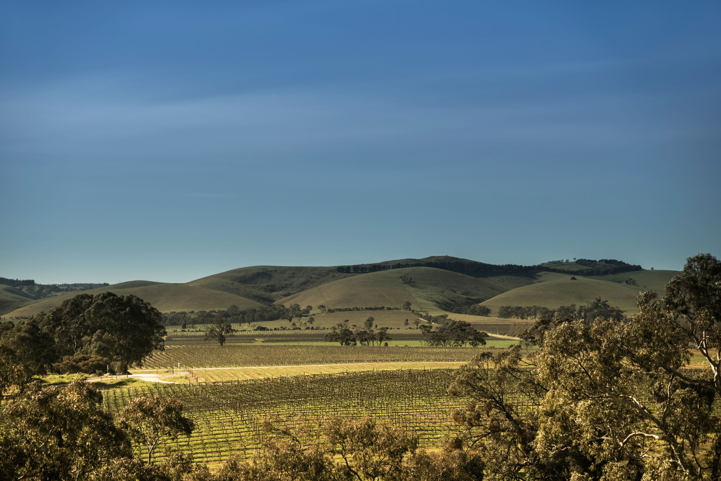 Destination Adelaide - Australia