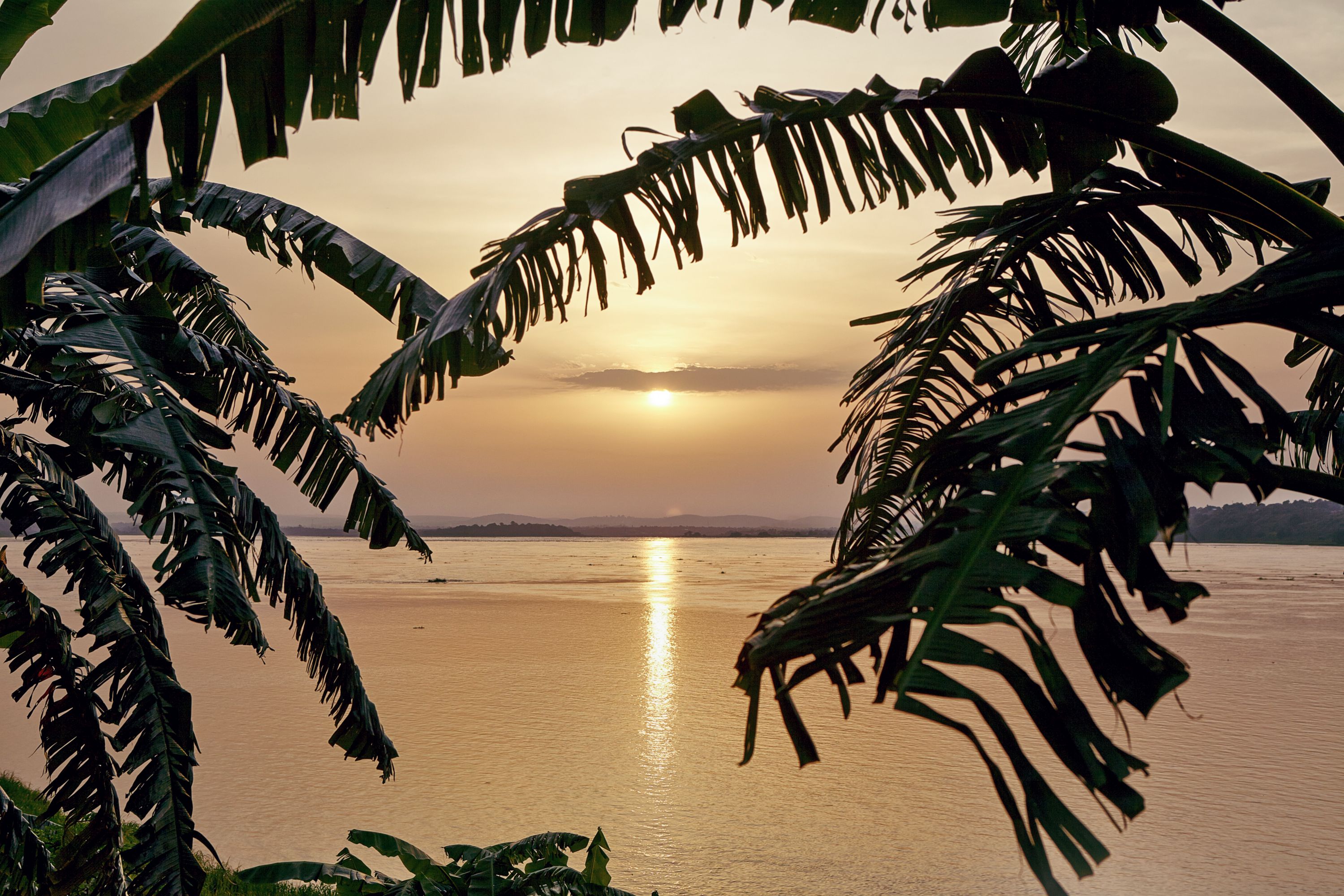 Destination Kinshasa - Democratic Republic of Congo