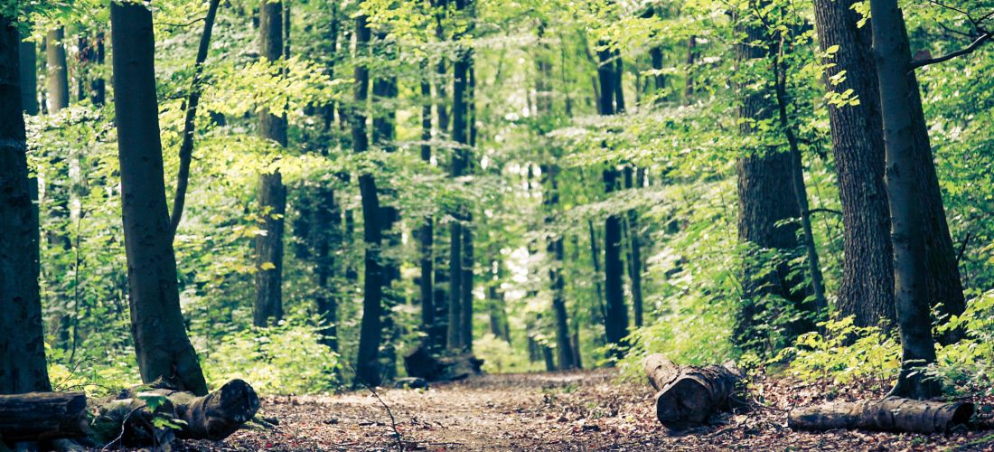 Destination Hagen - Germany