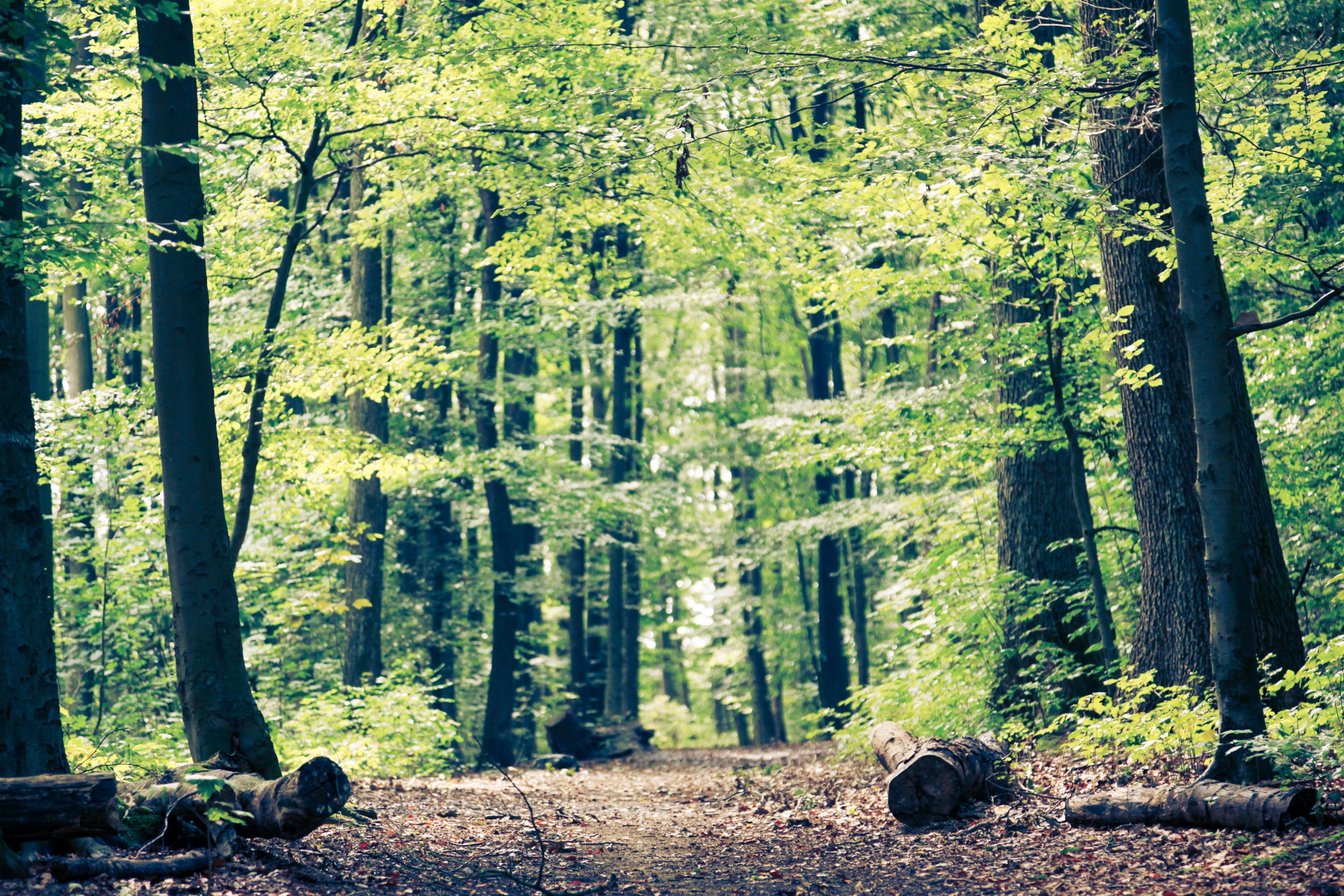 Destination Hagen - Germany