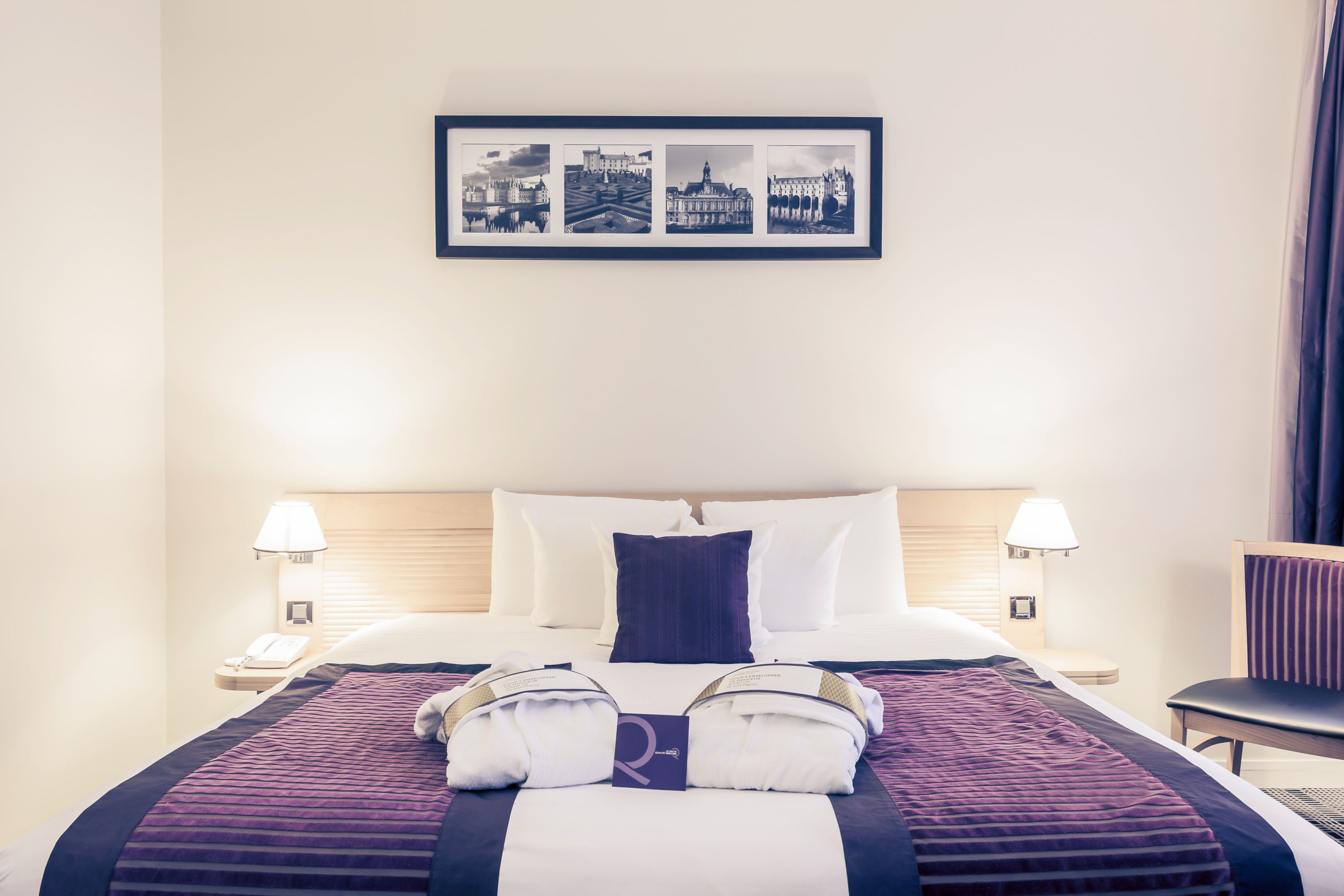 Mercure Tours Centre Gare Hotel - France