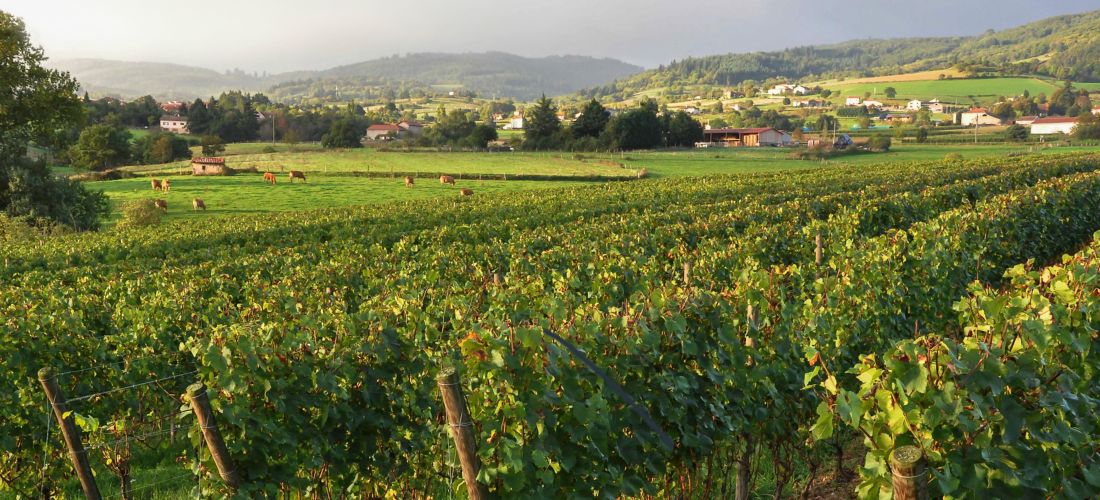 Destination Roanne - France