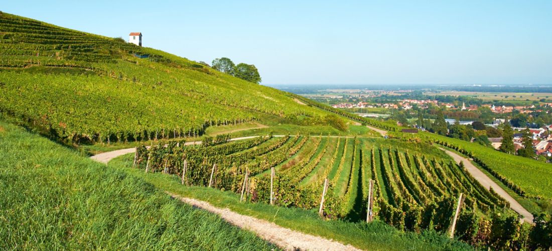 Destination Barr - France