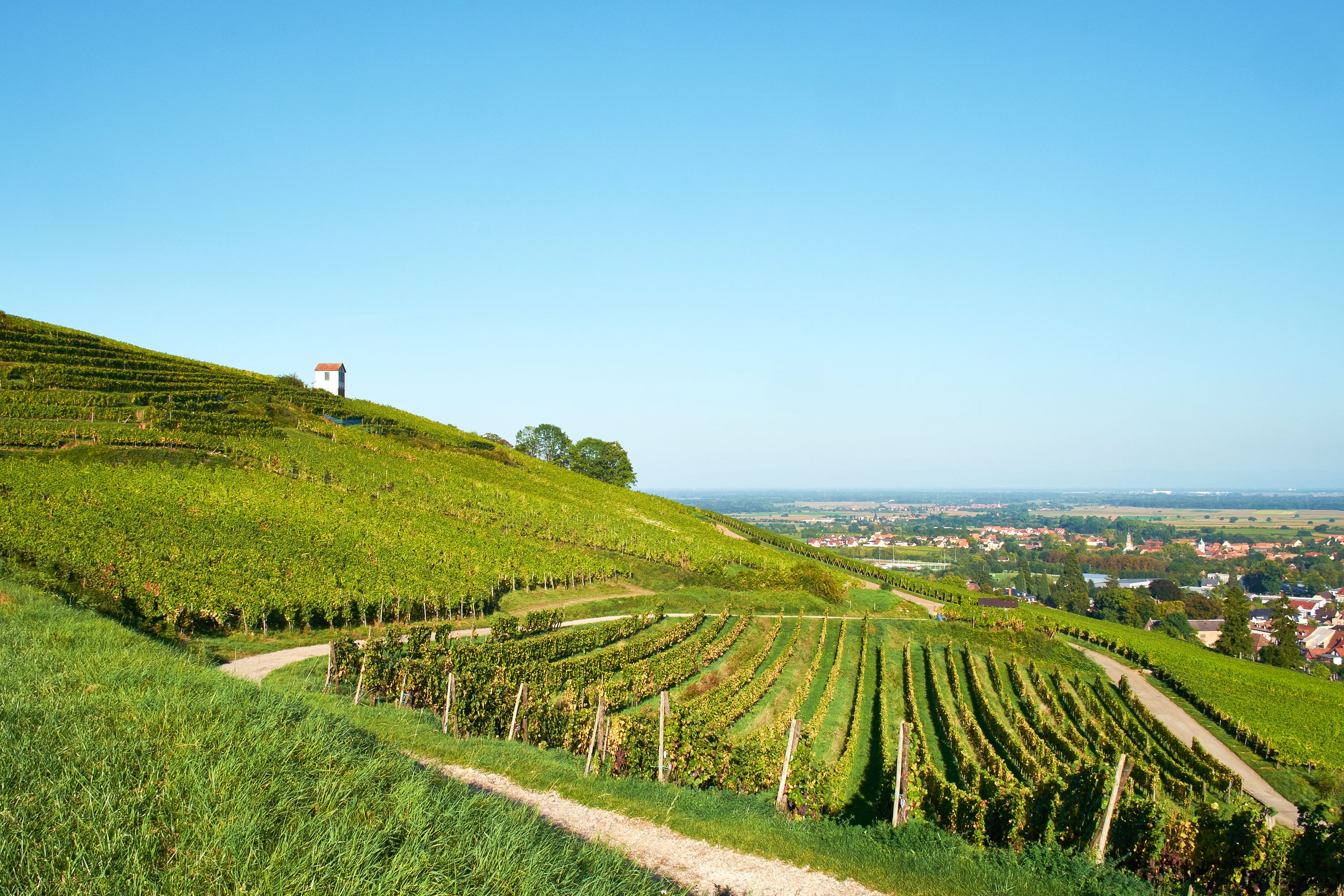 Destination Barr - France