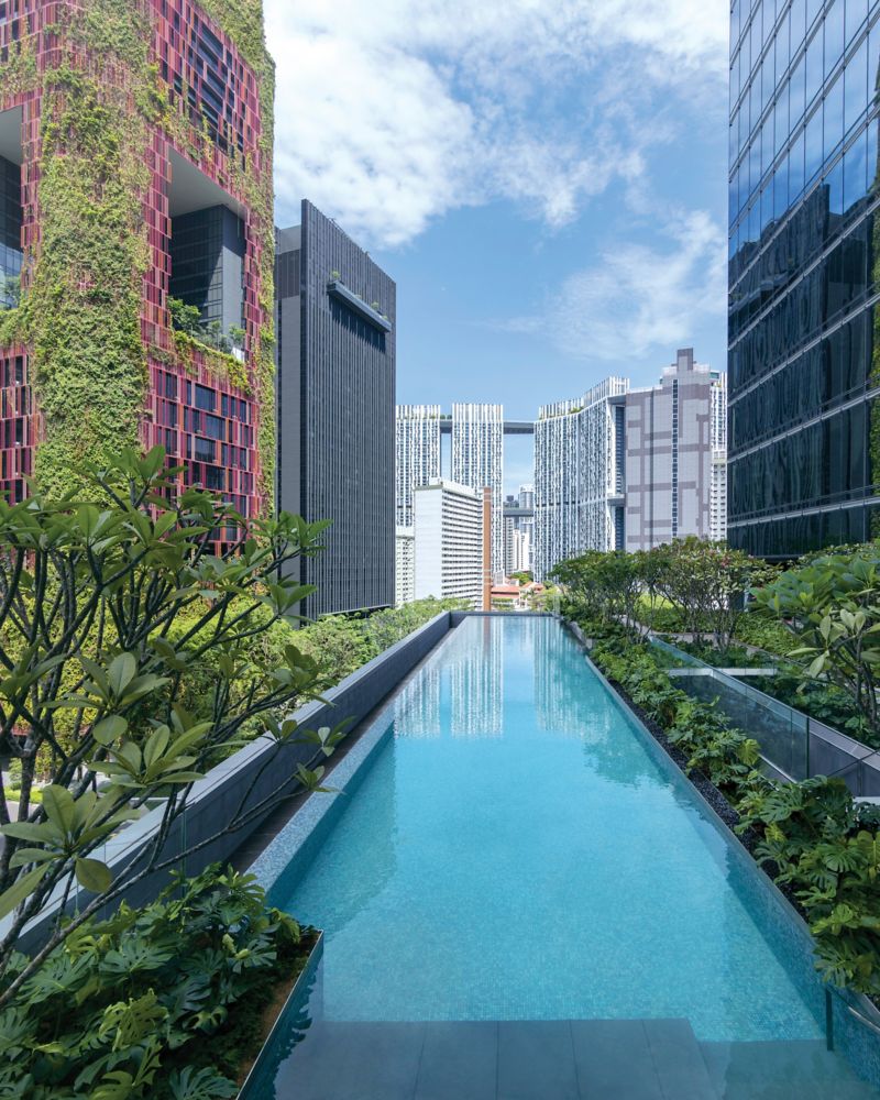 Sofitel Singapore City Centre - Singapore