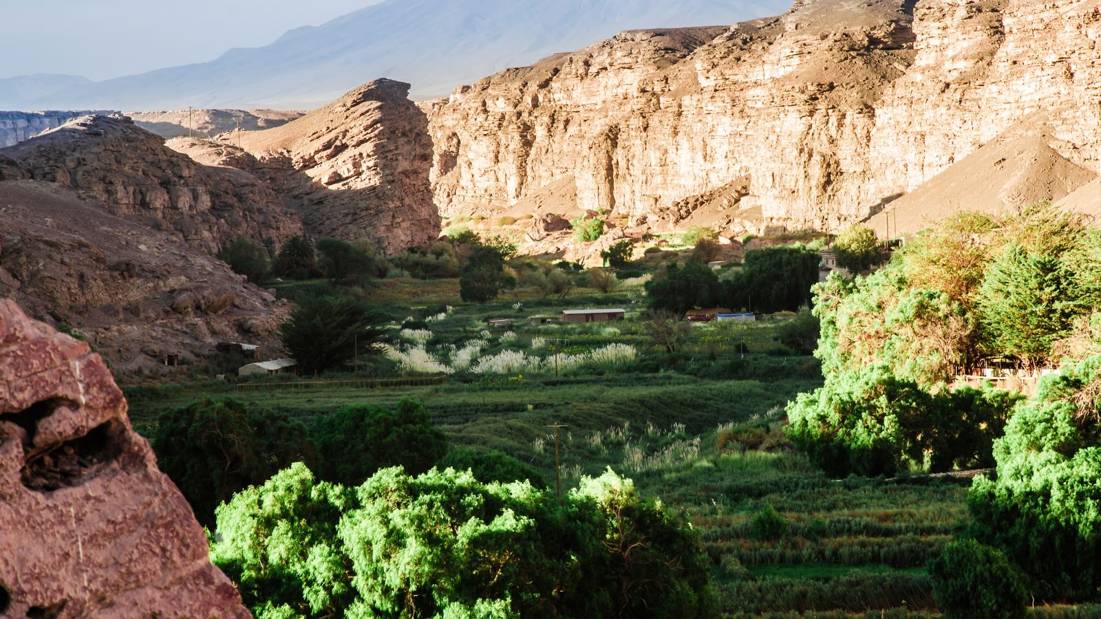 Destination Calama - Chile