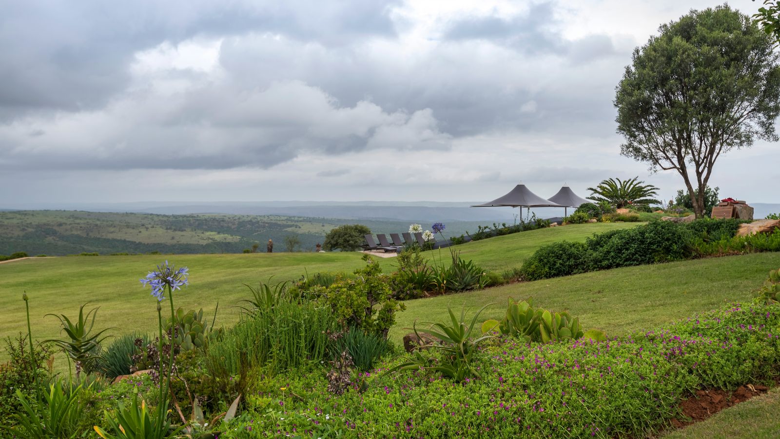 Destination Port Elizabeth - South Africa
