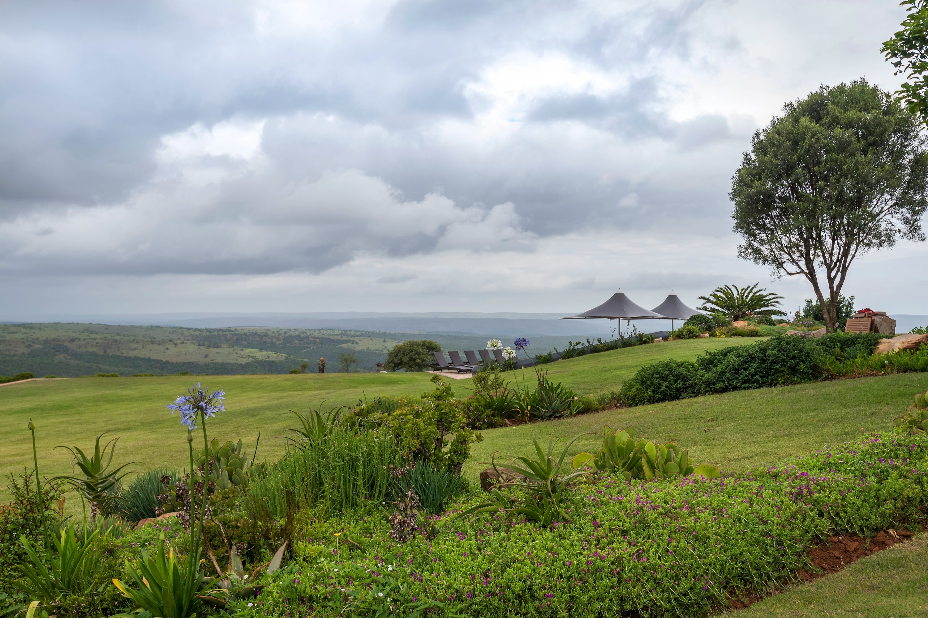 Destination Port Elizabeth - South Africa