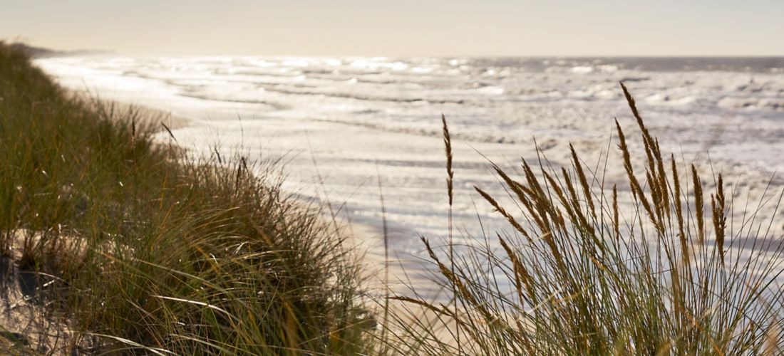 Destination Le Touquet - France