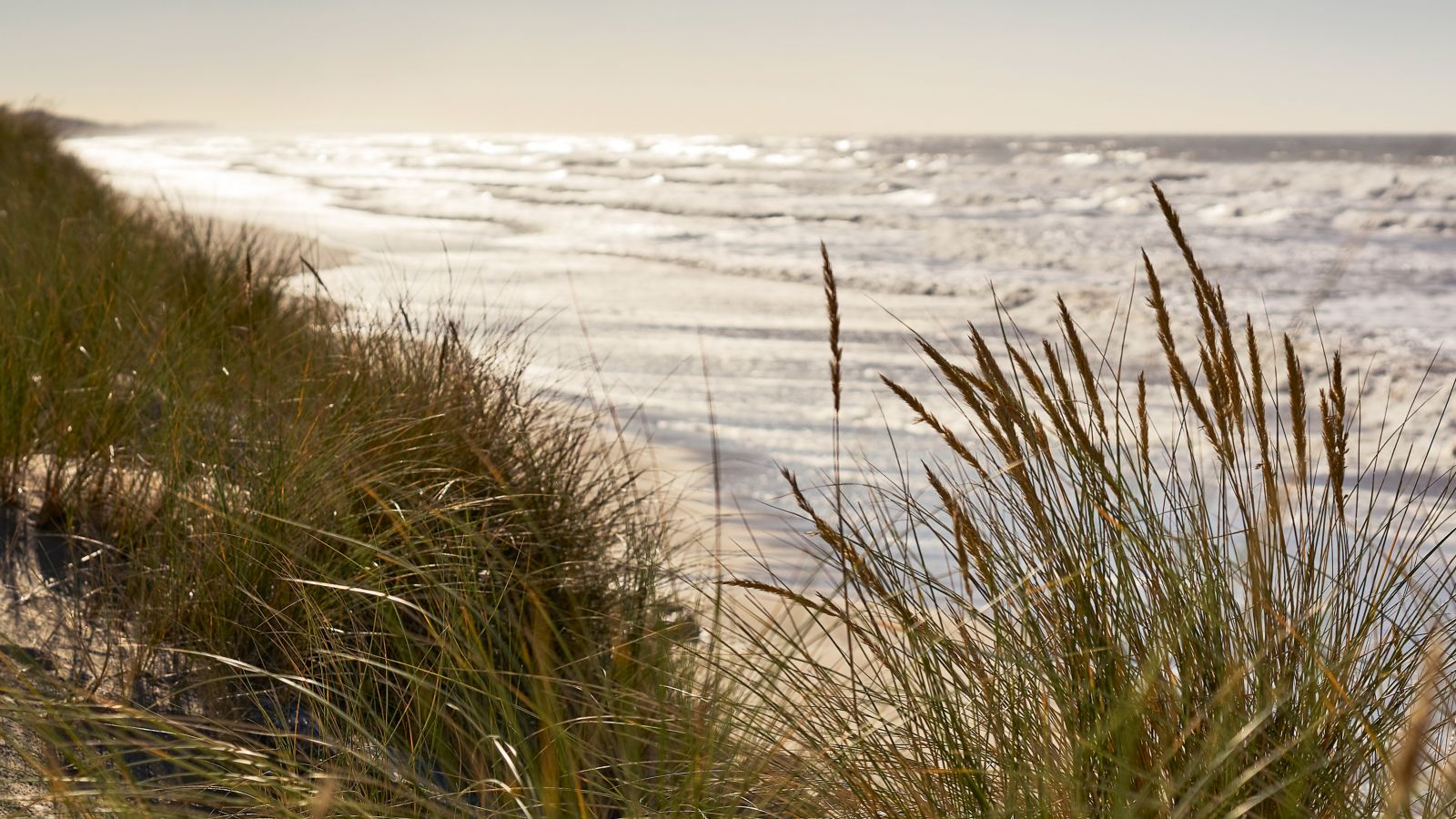 Destination Le Touquet - France