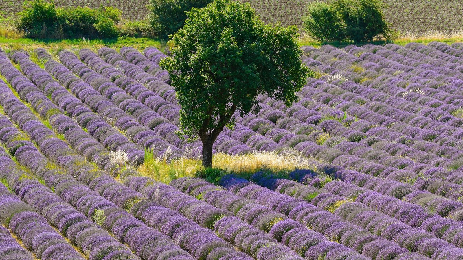 Destination Bollène - France