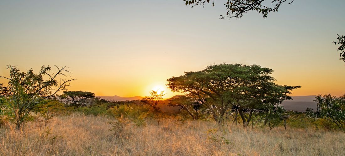 Destination North of Durban - South Africa