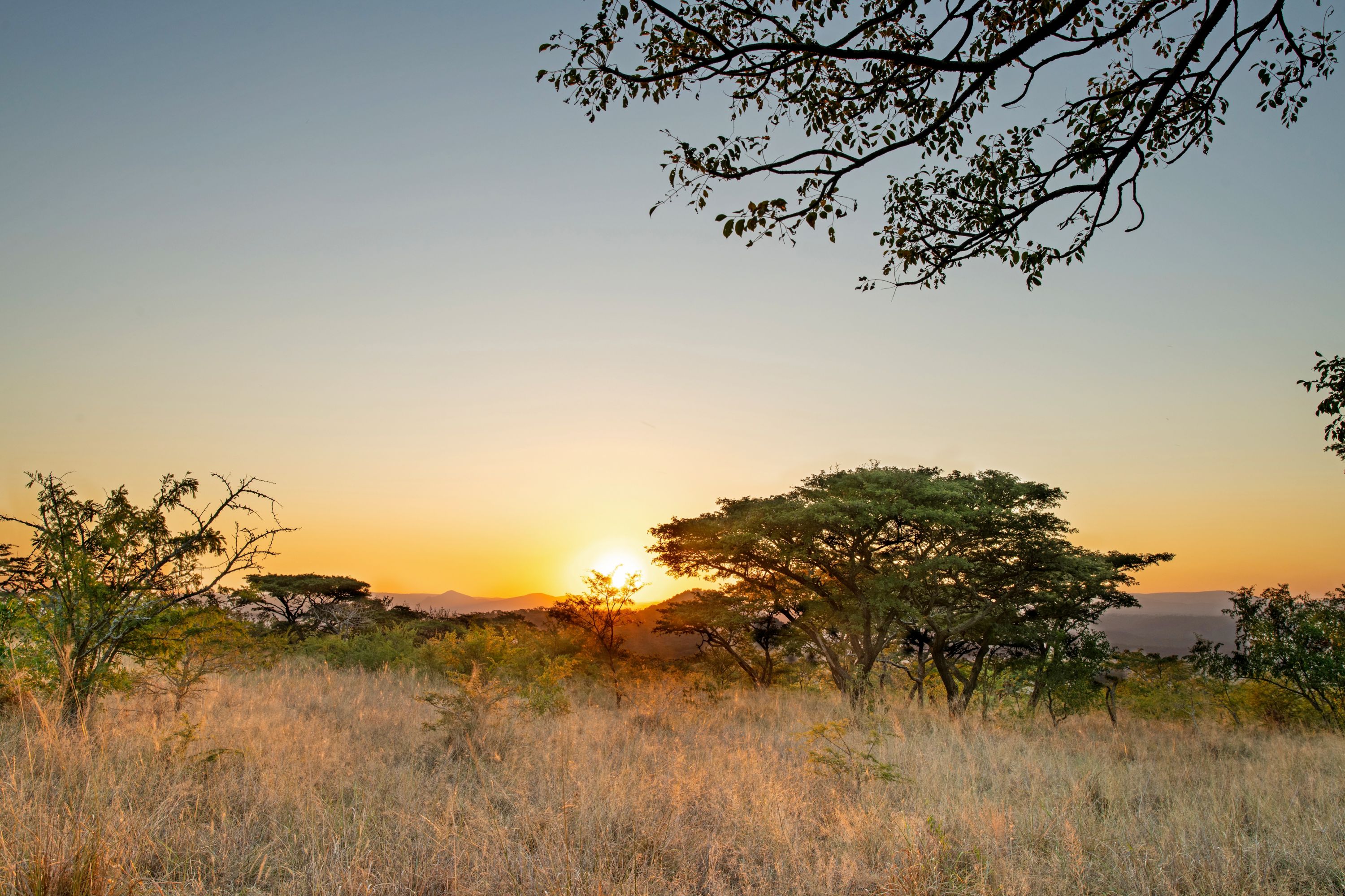 Destination North of Durban - South Africa