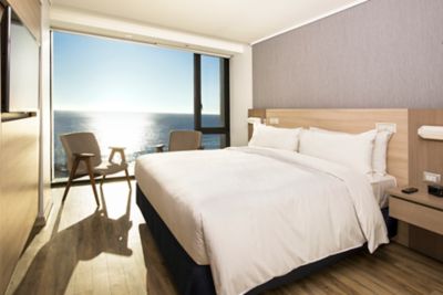 Pullman Vina del Mar San Martin - Chile