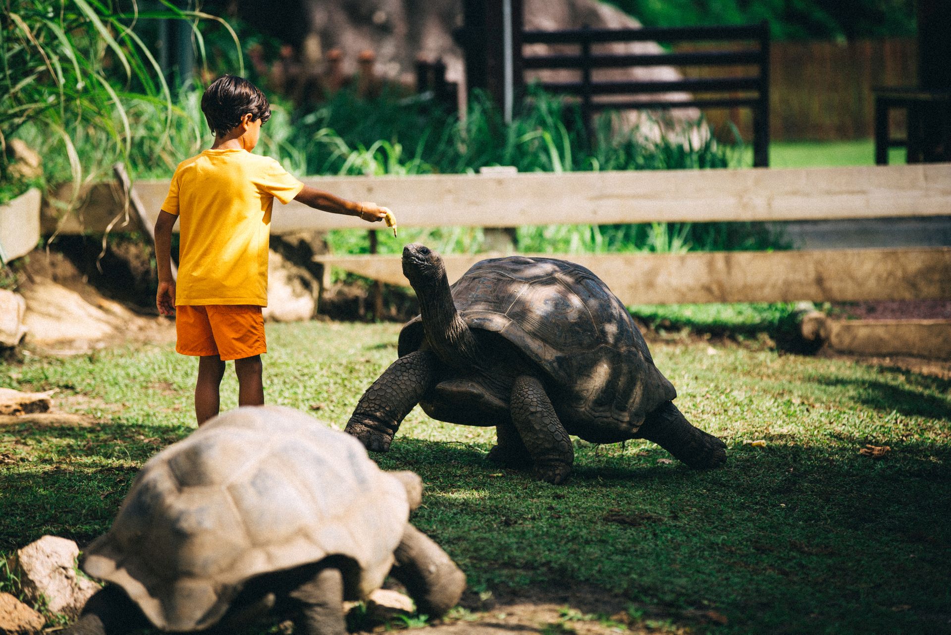 Рейнджер на день» at Raffles Seychelles