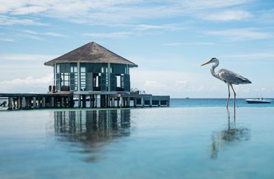 Raffles Maldives Meradhoo Resort - Maldives