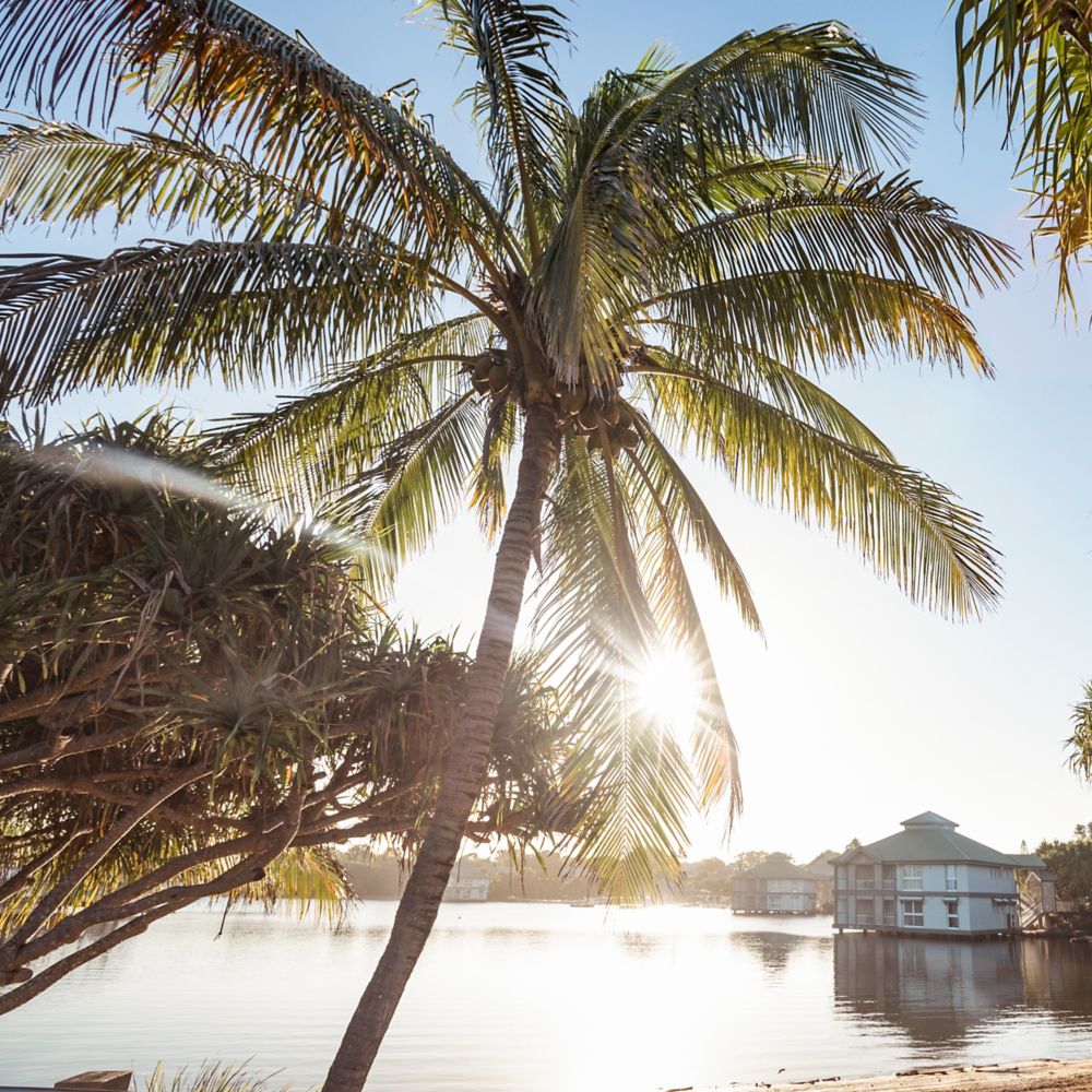 Novotel Twins Waters Sunshine Coast