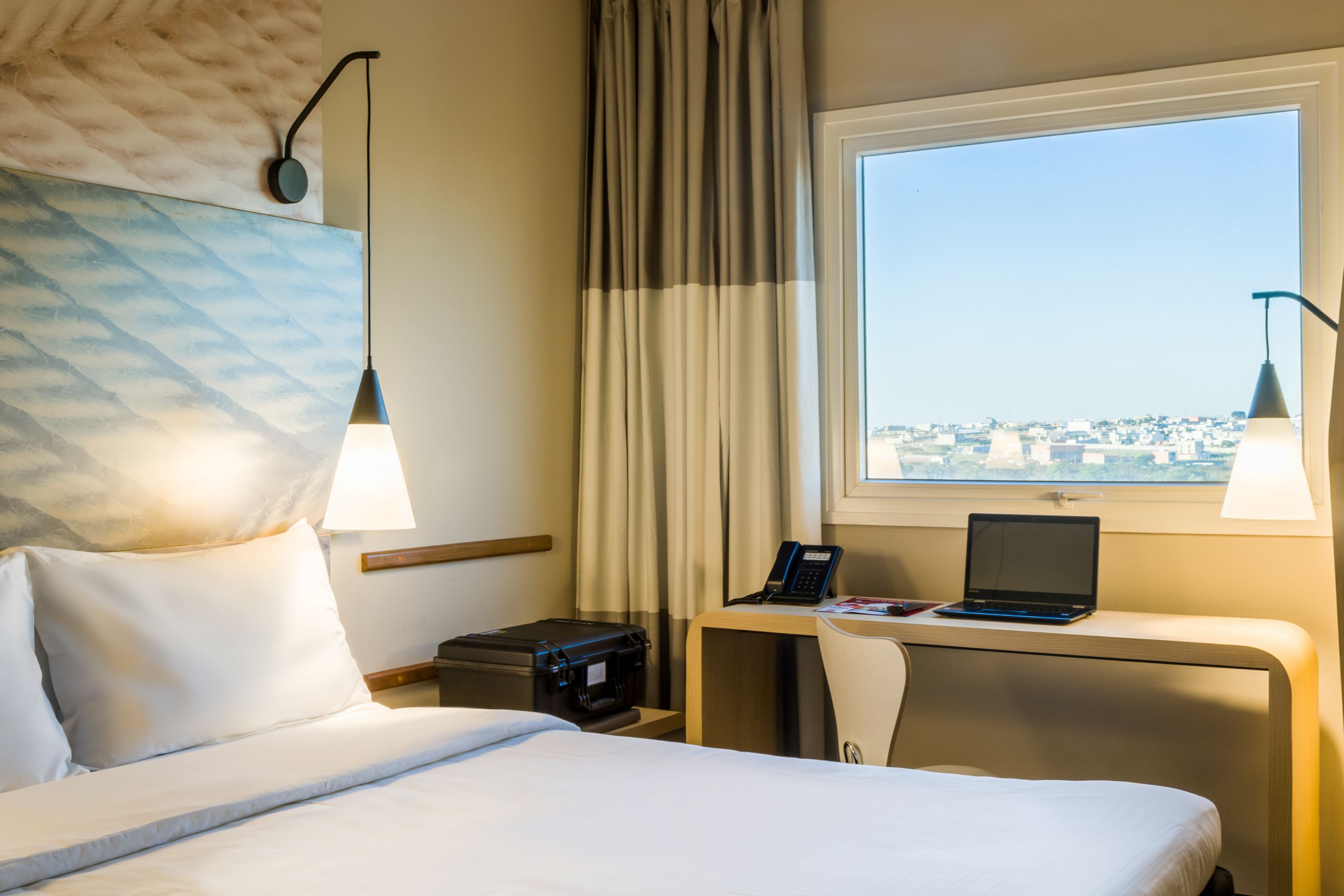 ibis Americana - Brazil