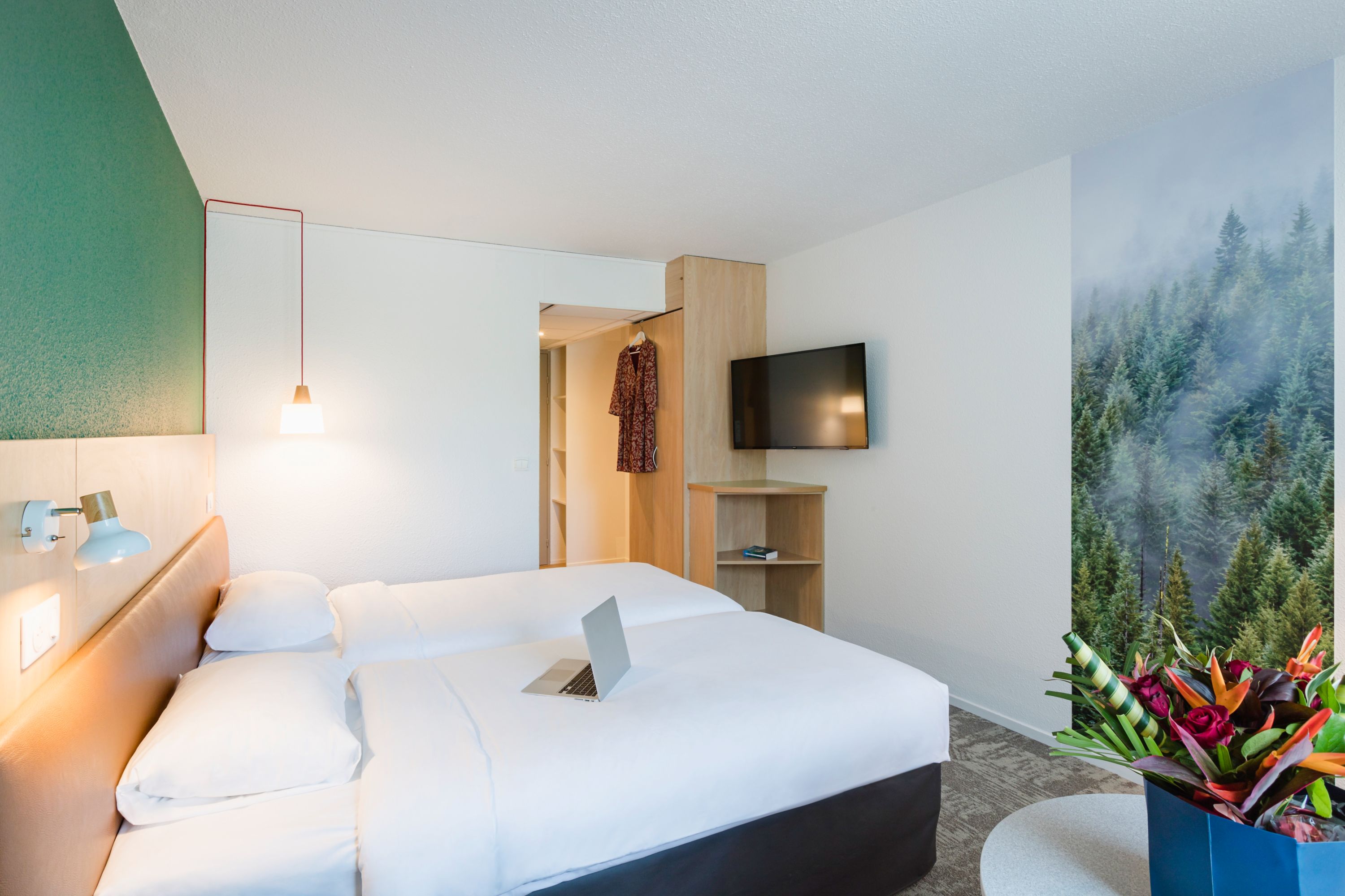 Ibis Styles Aix-les-Bains Domaine de Marlioz - France