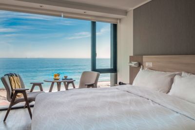 Pullman Vina del Mar San Martin - Chile