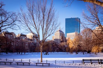 Holiday tree in a grand lobby