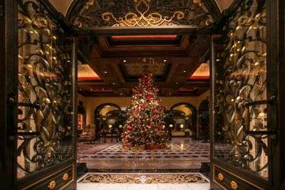 Family at the holidays