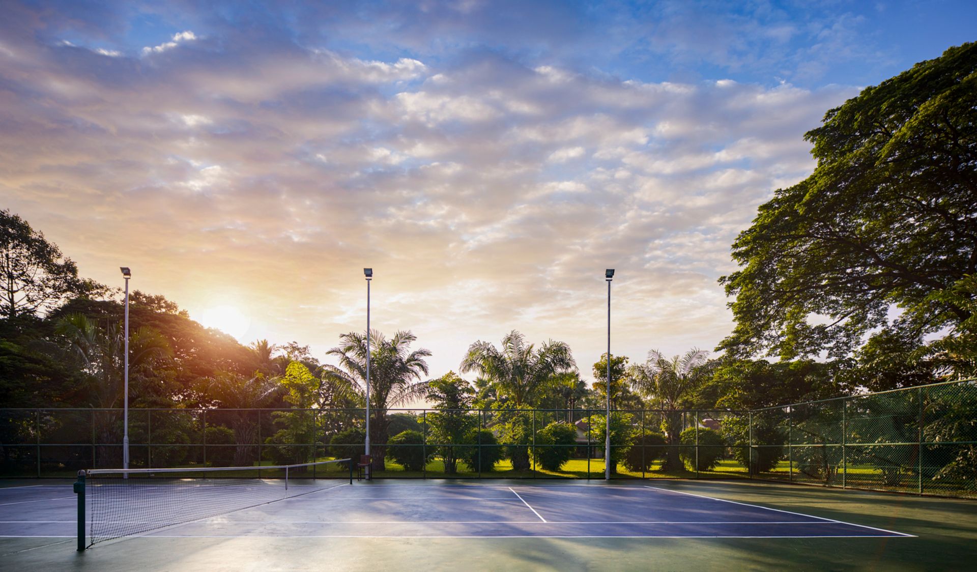 Canchas de tenis