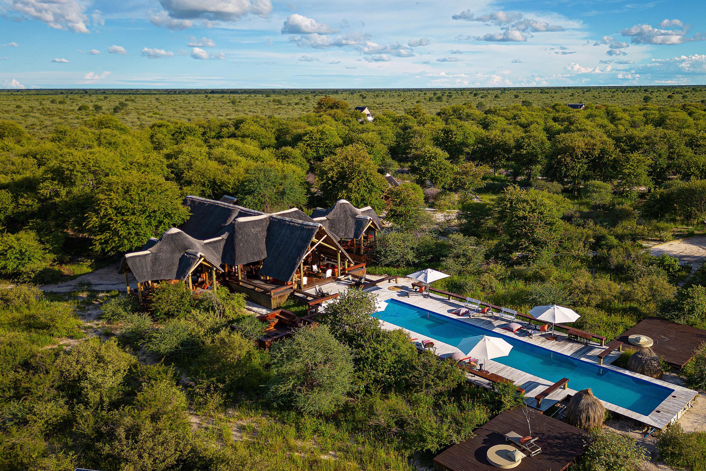 Feline Fields by Mantis - Maun - Botswana