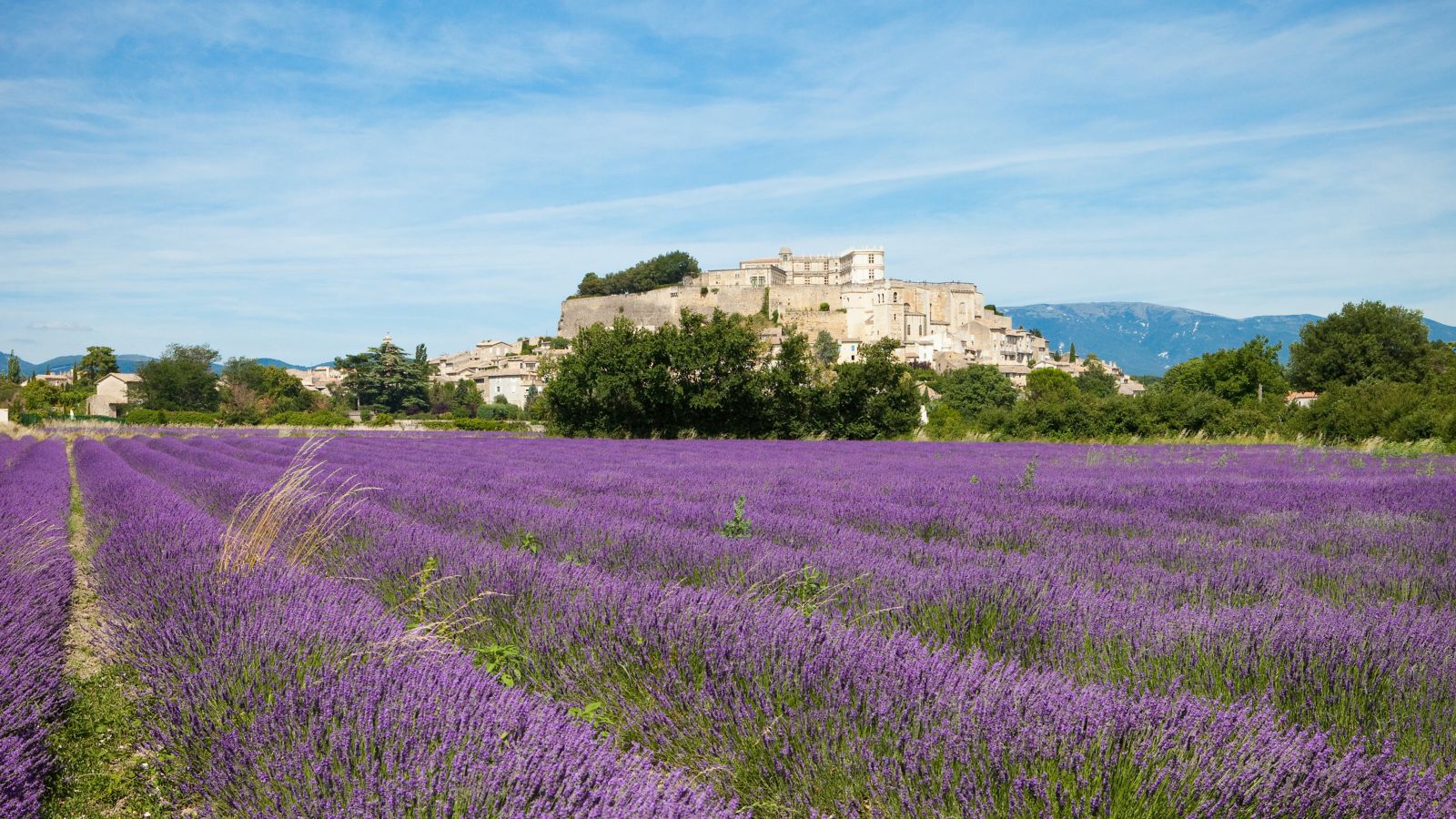 Destination  - France