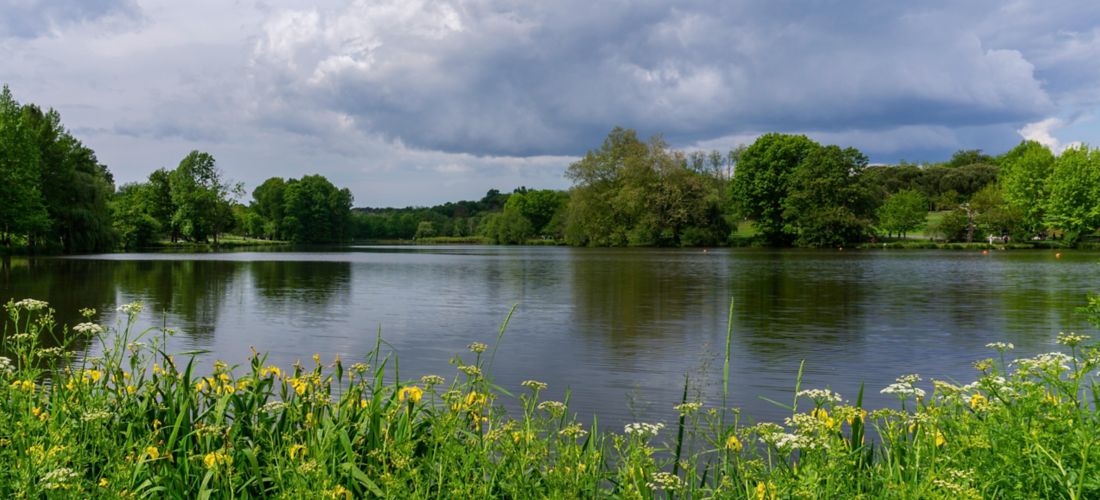 Destination Saint Paul Les Dax - France