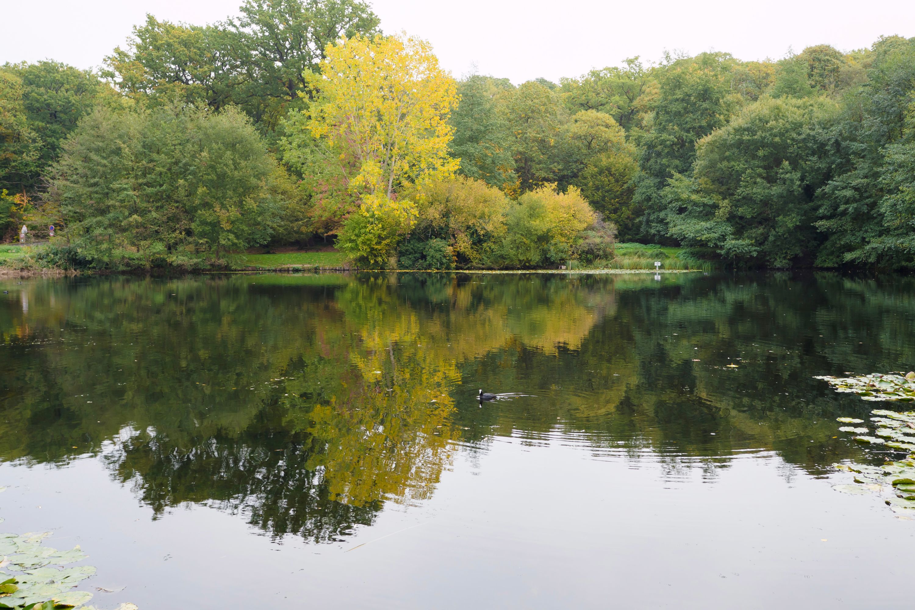 Destination Vélizy Villacoublay - France