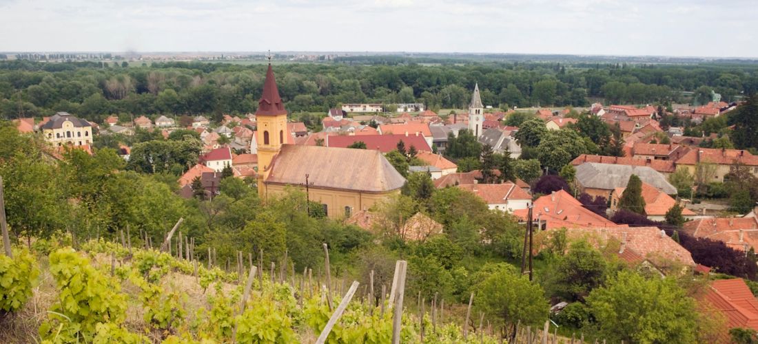 Destination Tokaj - Hungary