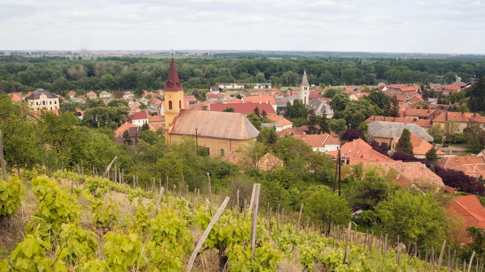 Destination Tokaj - Hungary