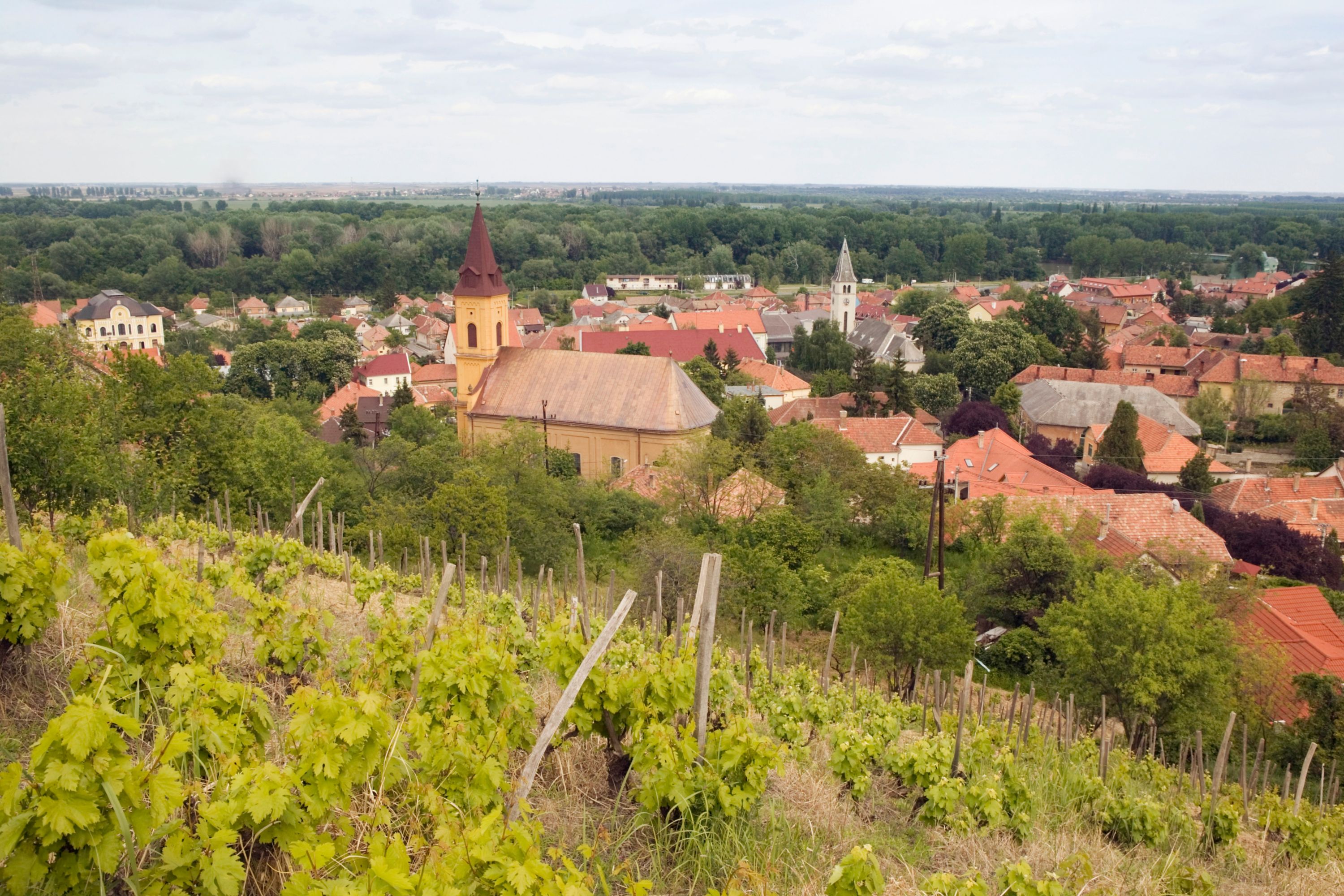 Destination Tokaj - Hungary