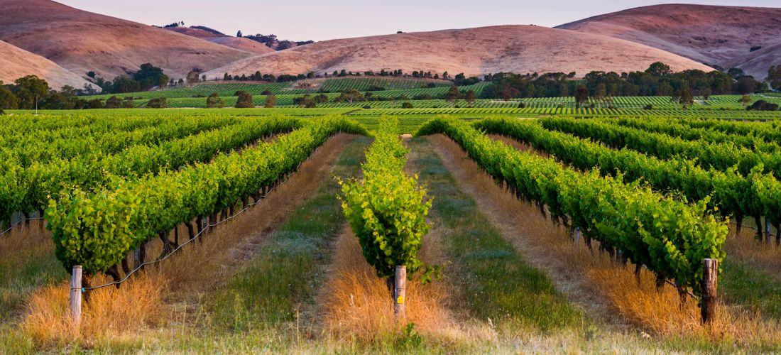 Destination  Barossa Valley - Australia