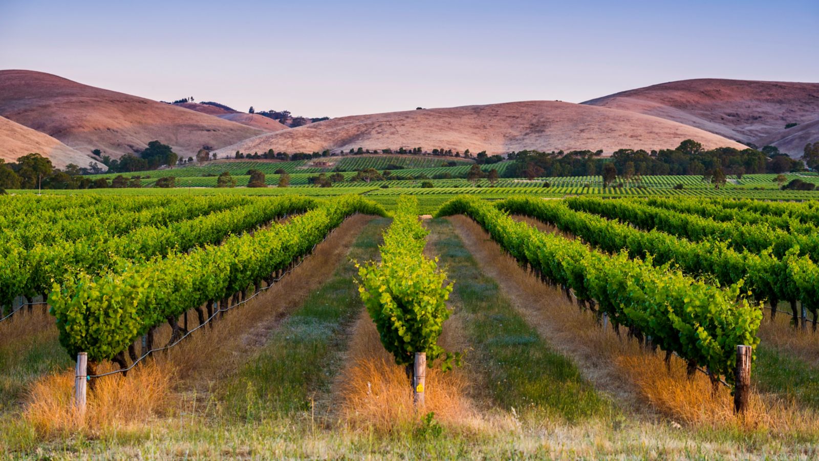 Destination  Barossa Valley - Australia