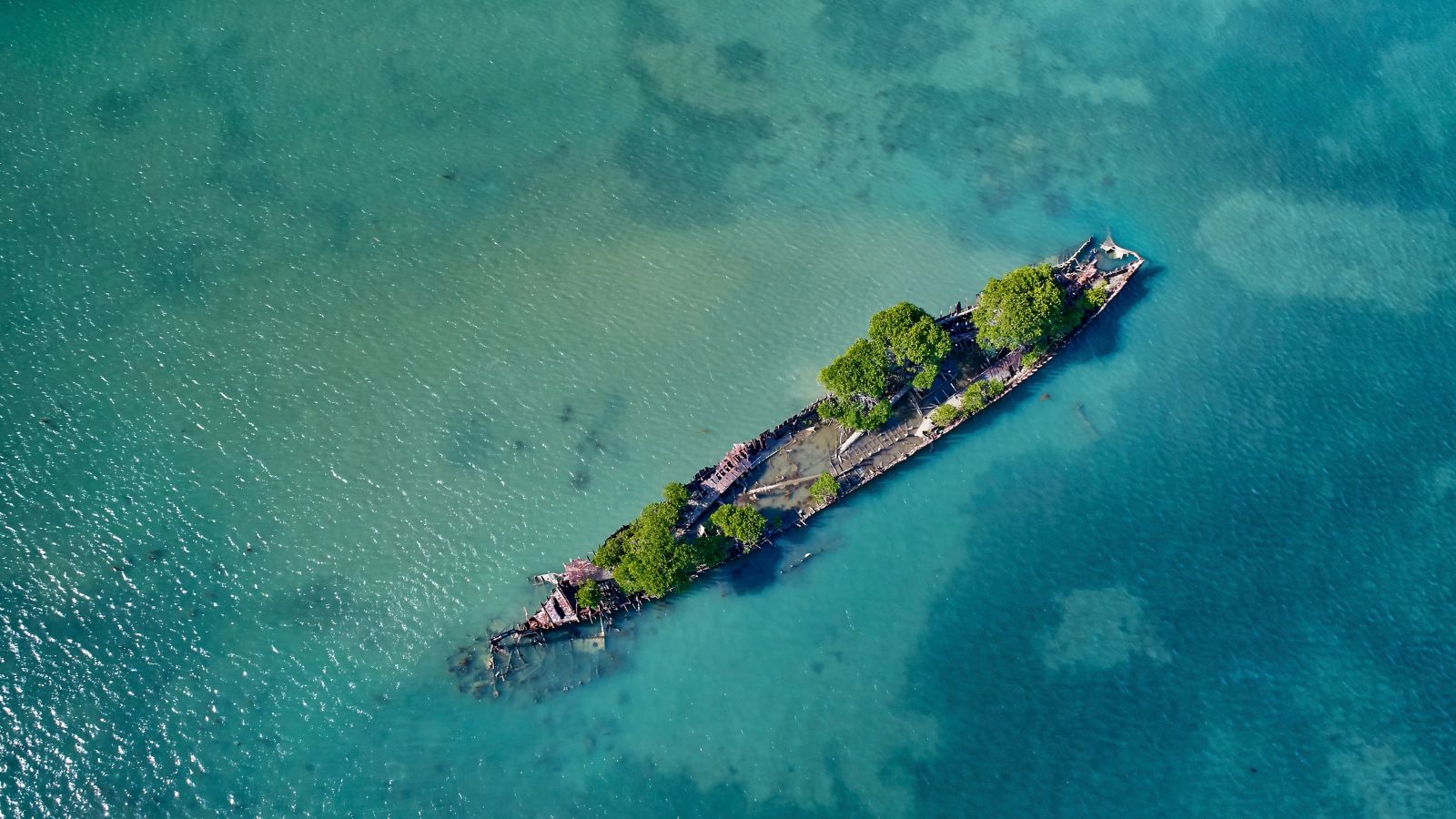 Destination Nelly Bay - Australia