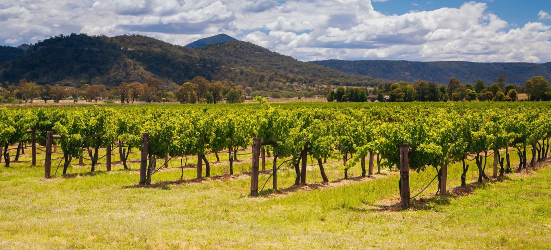 Destination Pokolbin - Australia