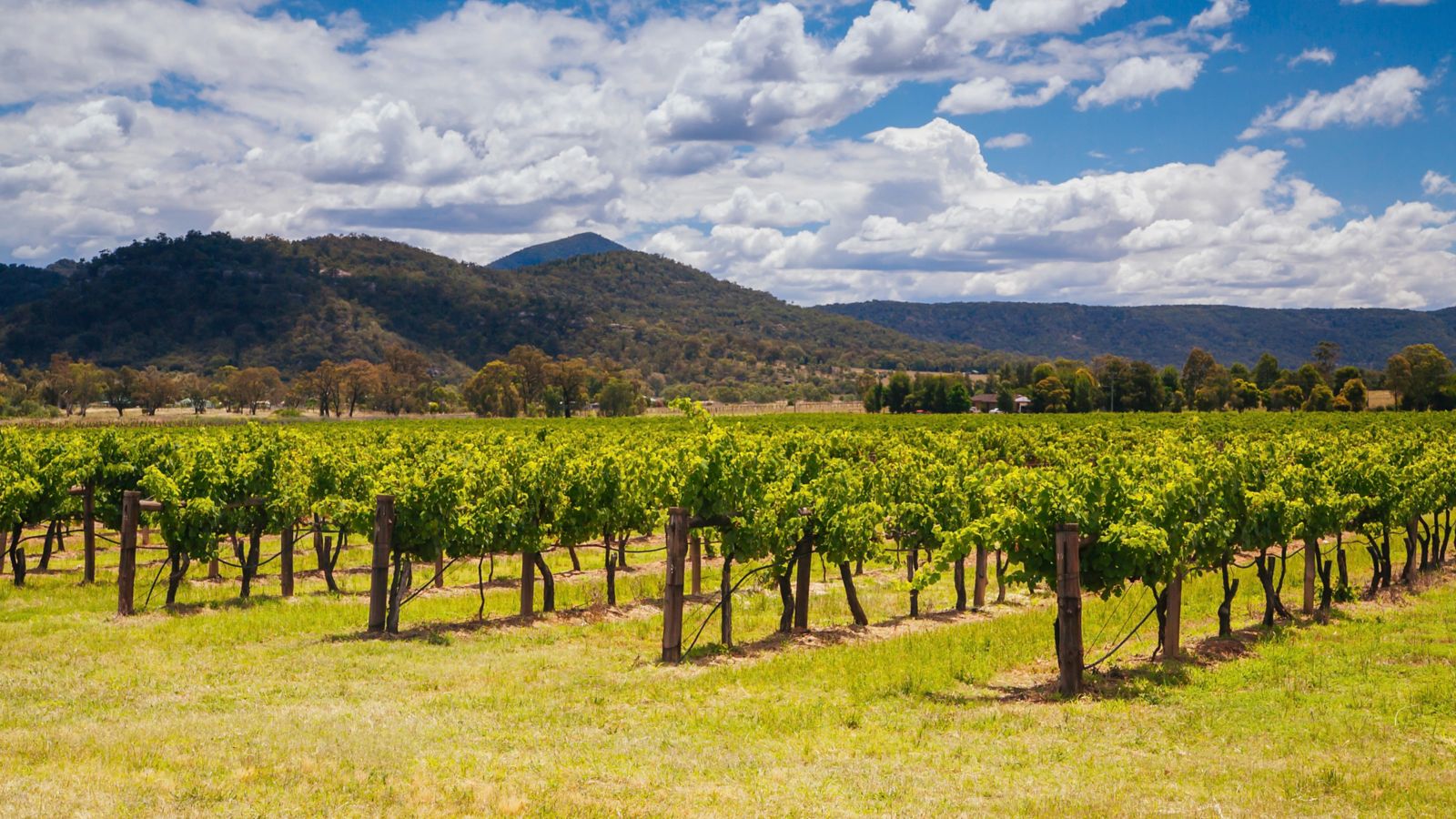 Destination Pokolbin - Australia